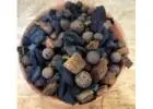 Orchid Mixes: Essential Growing Media for Healthy Roots Orchid Mixes: Essential Growing Media for Healthy Roots