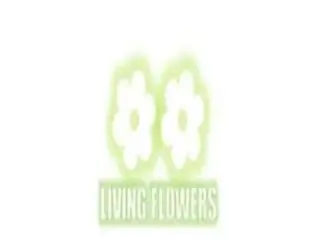 Flower Delivery Greensborough Flower Delivery Greensborough