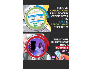 Remove Collections & Build Credit Remove Collections & Build Credit