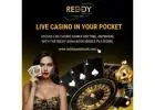Play Live Casino Anytime with Reddy Anna Book