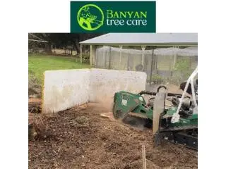 Tree Stump Removal & Stump Grinding in Melbourne Tree Stump Removal & Stump Grinding in Melbourne