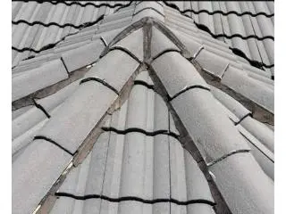 Prevent costly repairs, due to moss or algae growth with holistic Roof Cleaning SA Prevent costly repairs, due to moss or algae growth with holistic Roof Cleaning SA