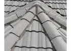 Prevent costly repairs, due to moss or algae growth with holistic Roof Cleaning SA