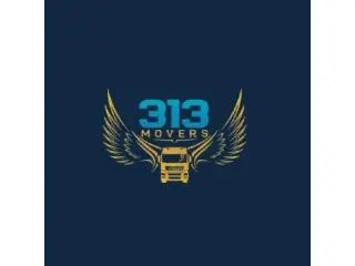 313 Movers 313 Movers