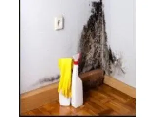 Seattle Water Damage Restoration Seattle Water Damage Restoration