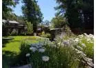 Garden Maintenance Services Sonoma County