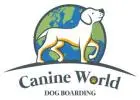North Carolina’s Premier Dog Boarding Facility | Canine World