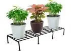 Orchid Stand: Stylish Display & Smart Support for Your Plants