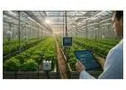 Inventory Management System for Commercial Plant Growers, Greenhouses & Nursery