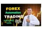 Simple Systems, Big Returns: Passive Forex Profits
