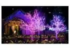 Looking for Professional Outdoor Christmas Decorations?