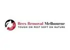 Bees Pest Control Melbourne