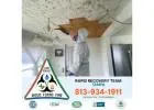 Trusted Mold Cleanup & Property Protection in Gulfport