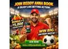 Win Big with Live Betting on Reddy Anna Book