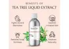 Tea Tree Liquid Extract for Cosmetic & Beauty Products | Raasa Oils