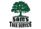 Tree Trimming Service​ Rohnert Park