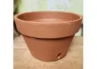 Orchid Pot for Sale – Perfect Pots for Healthy Orchid Growth