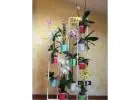 Orchid Stand: Designed to Hold, Built To Last