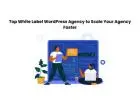 Top White Label WordPress Agency to Scale Your Agency Faster