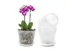 Orchid Stand: A Perfect Way to Display and Support Your Orchids