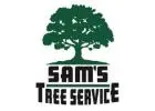 Emergency Tree Service​ Windsor