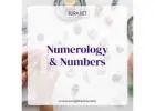 numerology numbers