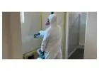 Mold Remediation Simpsonville