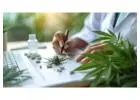Cannabis Accountant
