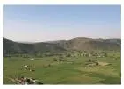 Naugaon Farms: Smart Investment & Weekend Living Near Gurgaon