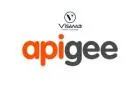 APIGEE Online Coaching Classes In India, Hyderabad