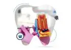 Trusted Root Canal Specialist in Perth – Gentle & Affordable Dental Care