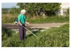 Professional Hedge & Tree Trimming Services in Lethbridge