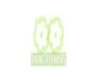 Flower Delivery Reservoir – Fresh Flowers for Every Occasion