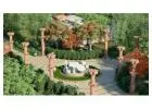 Looking to Buy Farmhouses in Naugaon?