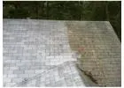 Moss Removal Roof George