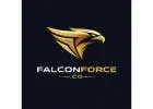 SEO Service In Ludhiana - Falcon Force