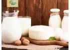 Fresh desi cow milk in jamshedpur first bell agro