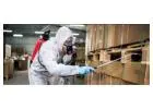 Best Industrial Pest Control Services in Jaipur Today