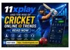 11xplay and the Rise of Cricket Online ID Trends Read Now