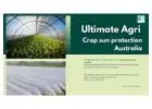 Crop sun protection