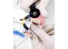 Fast Emergency Solutions denture repair near me in Seattle