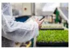 Inventory Management System for Commercial Plant Growers, Greenhouses & Nursery - SBI Software