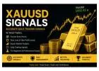 Best XAUUSD Signals Provider for Gold Traders