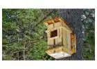 Safe Outdoor Nesting Support with Barn Owl Nesting Box