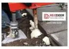 Professional Concrete Slab Leveling Near Me Services