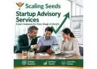 Expert Guidance for Every Stage of Growth