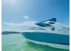 Cherish Your Vacation with Boat Tours Anna maria Island