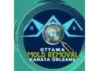 Expert Mold Removal & Mold Testing Services in Ottawa