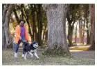 Dog Walkers in