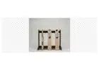 Buy NSS Gold Kashmir Willow Bat & Premium Cricket Gear Online